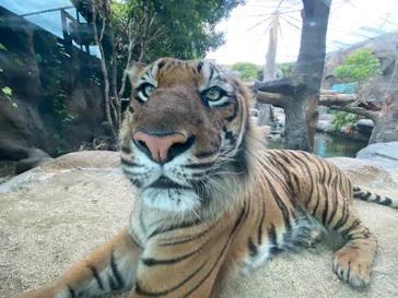 神戸どうぶつ王国に投稿された画像（2023/5/15）