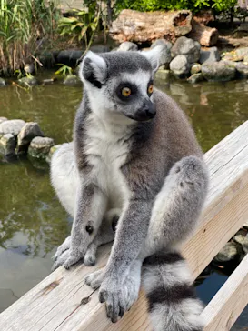 神戸どうぶつ王国に投稿された画像（2023/5/15）