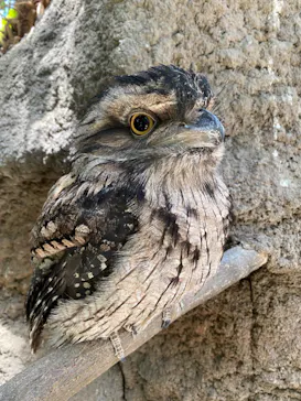 神戸どうぶつ王国に投稿された画像（2023/5/15）