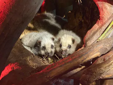 神戸どうぶつ王国に投稿された画像（2023/5/15）