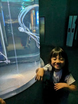 新江ノ島水族館に投稿された画像（2023/5/15）