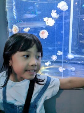 新江ノ島水族館に投稿された画像（2023/5/15）