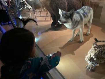 国立科学博物館に投稿された画像（2023/5/15）