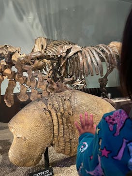 国立科学博物館に投稿された画像（2023/5/15）