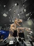 特別展「恐竜博2023」に投稿された画像（2023/5/15）