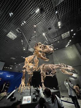 特別展「恐竜博2023」に投稿された画像（2023/5/15）