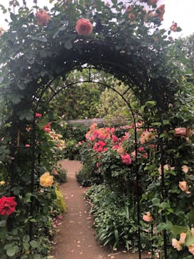 横浜イングリッシュガーデンに投稿された画像（2023/5/15）