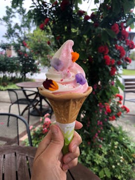 横浜イングリッシュガーデンに投稿された画像（2023/5/15）