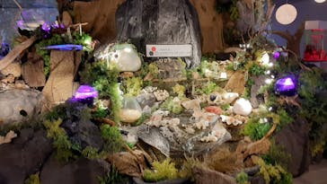 NARA IKIMONO MUSEUMに投稿された画像（2023/5/15）