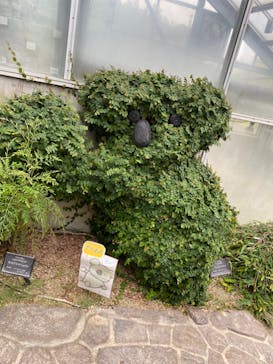 淡路ファームパーク イングランドの丘に投稿された画像（2023/5/16）