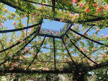 横浜イングリッシュガーデンに投稿された画像（2023/5/16）