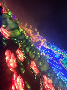 伊豆ぐらんぱる公園に投稿された画像（2023/5/16）