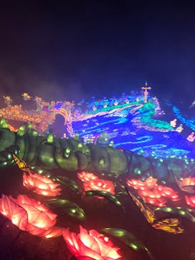 伊豆ぐらんぱる公園に投稿された画像（2023/5/16）