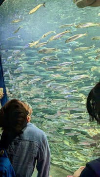 サンシャイン水族館に投稿された画像（2023/5/16）