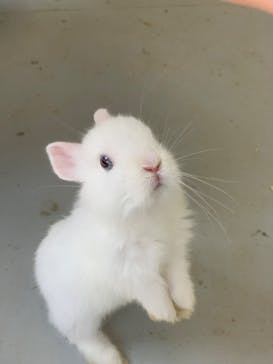 しろとり動物園に投稿された画像（2023/5/16）