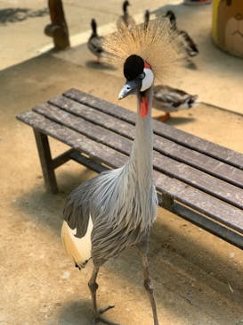 しろとり動物園に投稿された画像（2023/5/16）