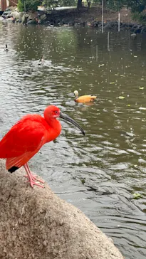 神戸どうぶつ王国に投稿された画像（2023/5/16）