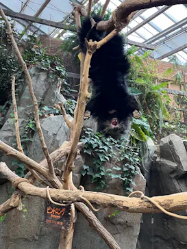 神戸どうぶつ王国に投稿された画像（2023/5/16）