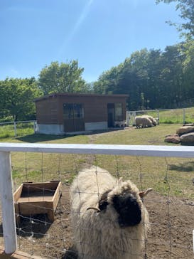 那須どうぶつ王国に投稿された画像（2023/5/16）