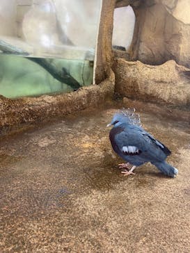 那須どうぶつ王国に投稿された画像（2023/5/16）