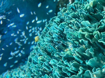 サンシャイン水族館に投稿された画像（2023/5/16）