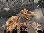 特別展「恐竜博2023」に投稿された画像（2023/5/16）