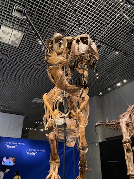 特別展「恐竜博2023」に投稿された画像（2023/5/16）