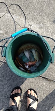 沖縄海うさぎ・海あしびに投稿された画像（2023/5/16）