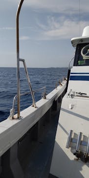 沖縄海うさぎ・海あしびに投稿された画像（2023/5/16）