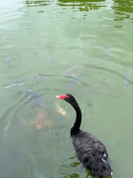 沖縄こどもの国に投稿された画像（2023/5/16）