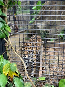 沖縄こどもの国に投稿された画像（2023/5/16）
