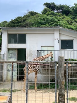 沖縄こどもの国に投稿された画像（2023/5/16）