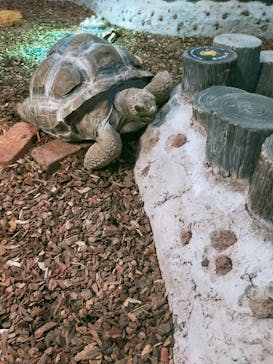NARA IKIMONO MUSEUMに投稿された画像（2023/5/16）