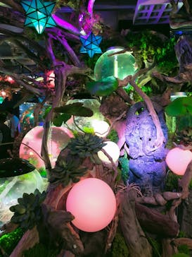 NARA IKIMONO MUSEUMに投稿された画像（2023/5/16）