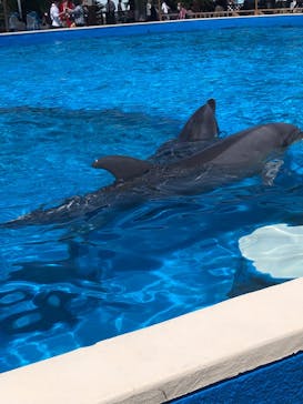 南知多ビーチランド＆南知多おもちゃ王国に投稿された画像（2023/5/16）