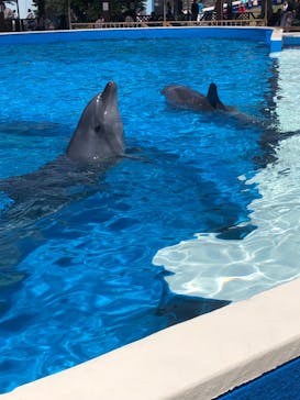 南知多ビーチランド＆南知多おもちゃ王国に投稿された画像（2023/5/16）