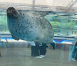 京都鉄道博物館×京都水族館に投稿された画像（2023/5/17）