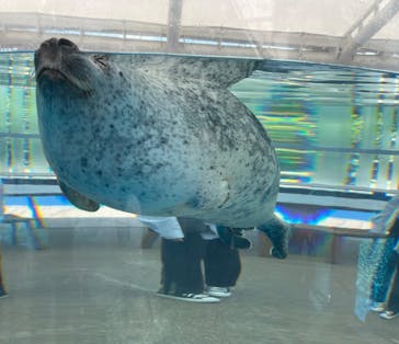 京都鉄道博物館×京都水族館に投稿された画像（2023/5/16）