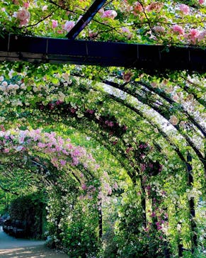 横浜イングリッシュガーデンに投稿された画像（2023/5/17）