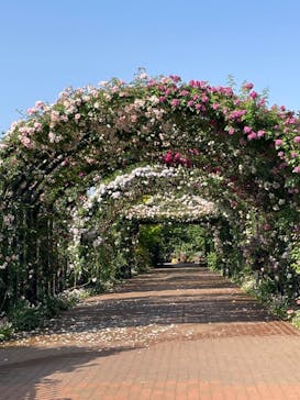 横浜イングリッシュガーデンに投稿された画像（2023/5/17）