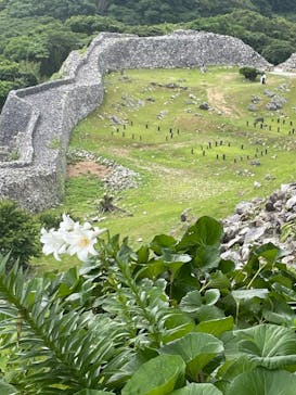 今帰仁城跡に投稿された画像（2023/5/17）