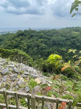 今帰仁城跡に投稿された画像（2023/5/17）