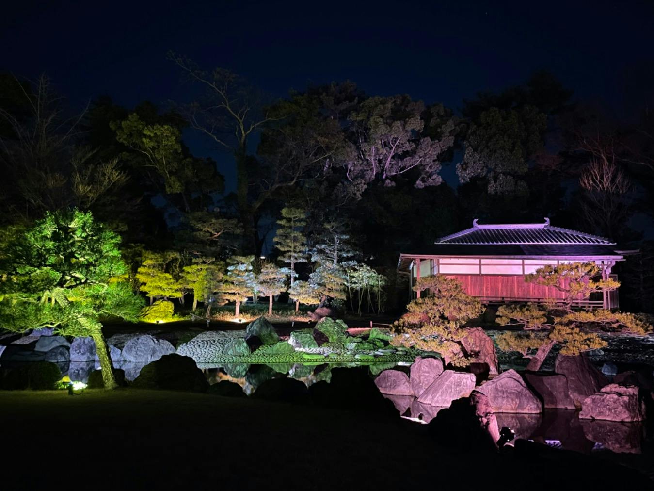 櫻庭優、『花』、希少画集より、状態良好、新品木製額・額装付 ハガキ/ポストカード｜紙シリーズ｜ポストカード 桜柄 金