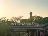天王寺動物園に投稿された画像（2023/5/17）