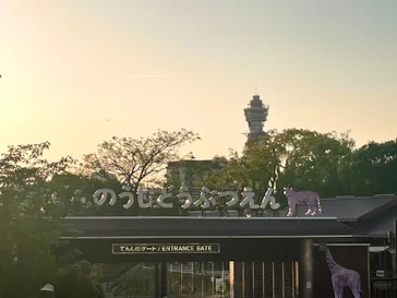 天王寺動物園に投稿された画像（2023/5/17）