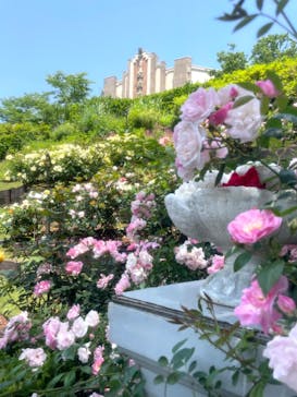 西武園ゆうえんちに投稿された画像（2023/5/17）