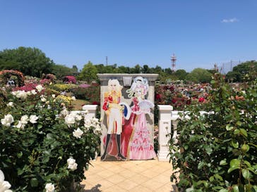 京成バラ園に投稿された画像（2023/5/17）