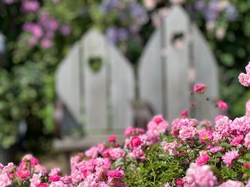 横浜イングリッシュガーデンに投稿された画像（2023/5/17）