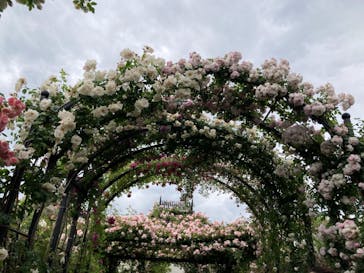 横浜イングリッシュガーデンに投稿された画像（2023/5/17）