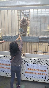 伊豆アニマルキングダムに投稿された画像（2023/5/17）